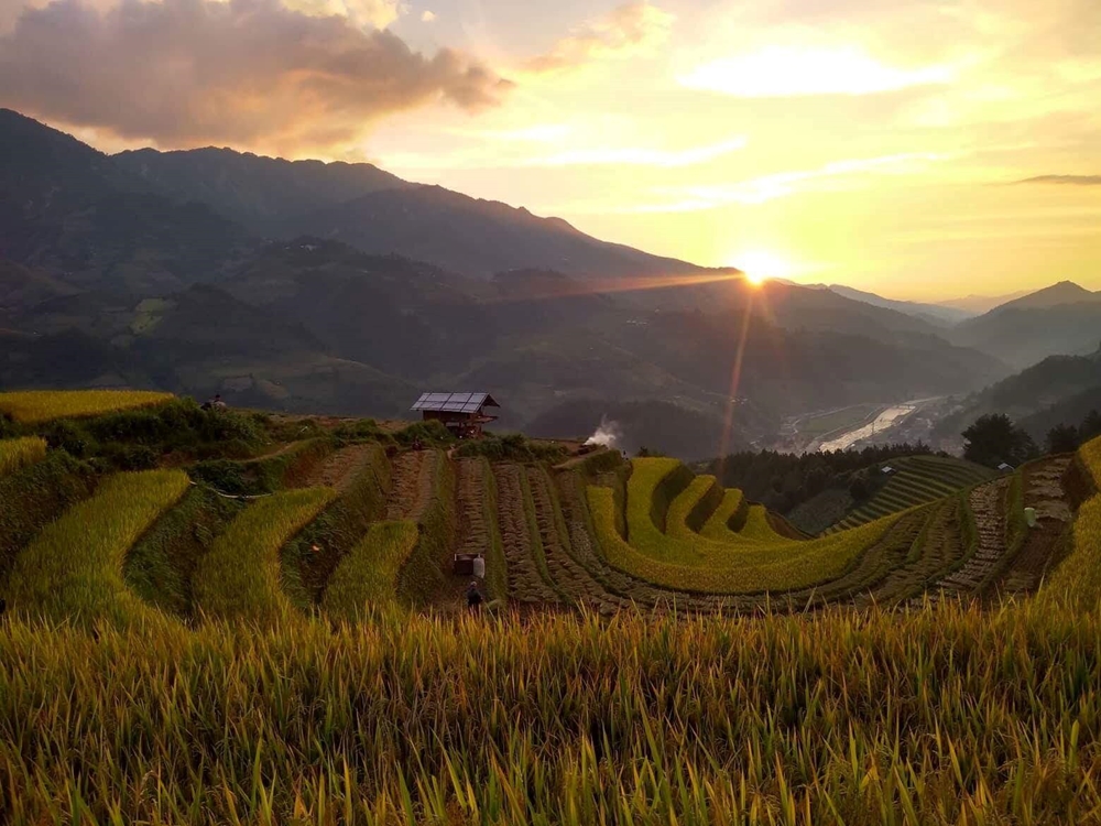 Bình minh trên nương.